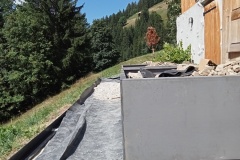IMG20220804114441