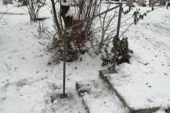 IMG_20201204_113624