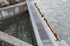 IMG20221101095430-Kopie